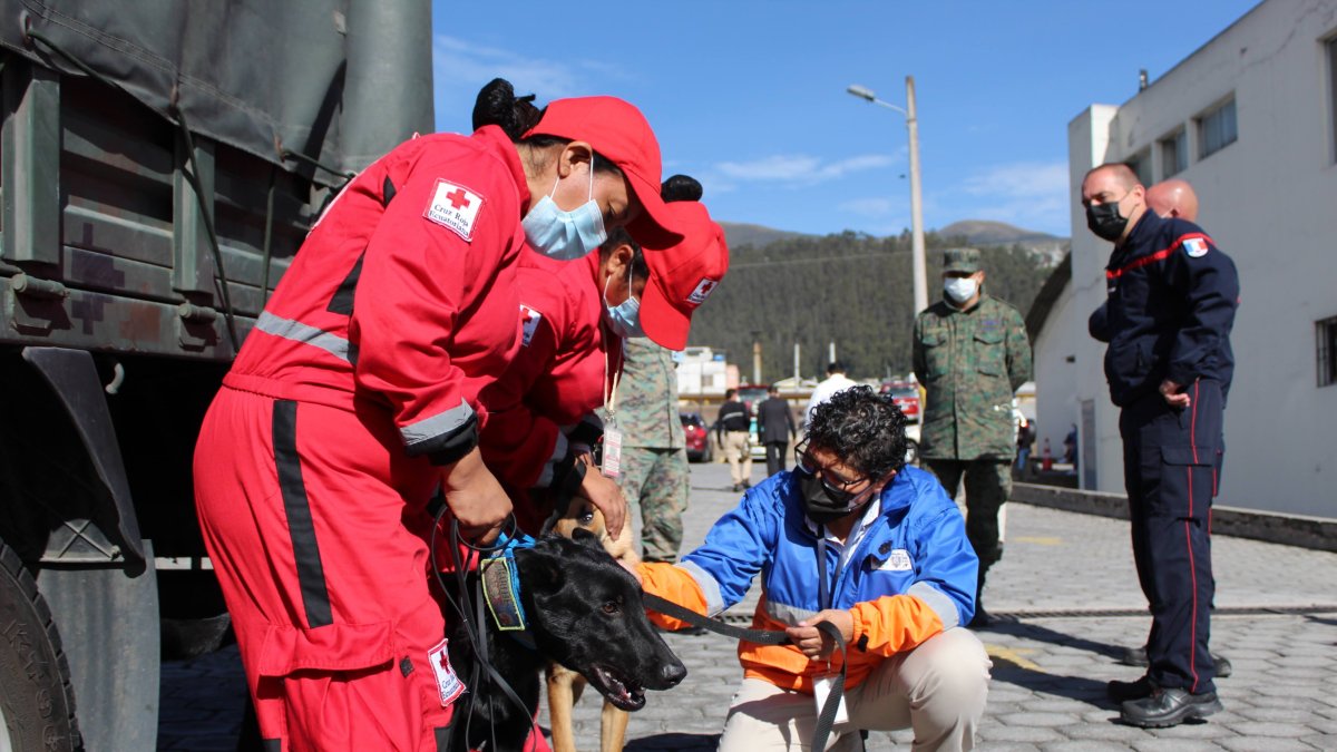 En la etapa de capacitación participan integrantes de las Fuerzas Armadas, Bomberos de Quito y Cruz Roja.