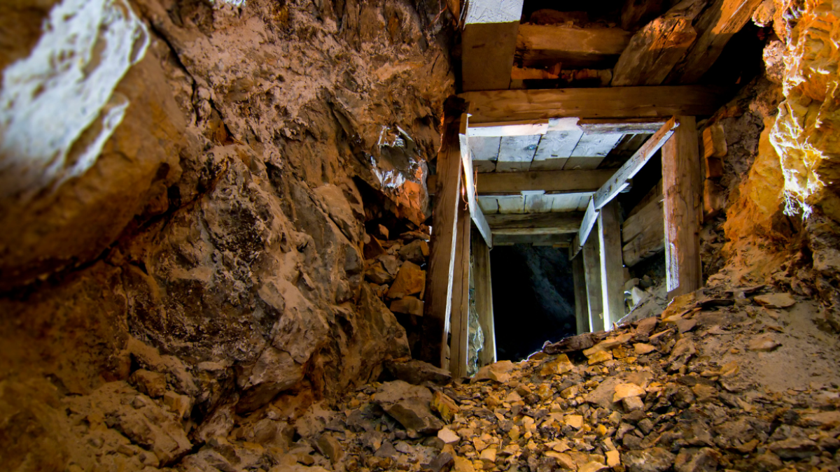 Estas acciones se llevan a cabo tanto en las parroquias del Chocó Andino, como en los territorios de Acus Mashpi, Pachijal, Yunguilla y Camino de los Yumbos.