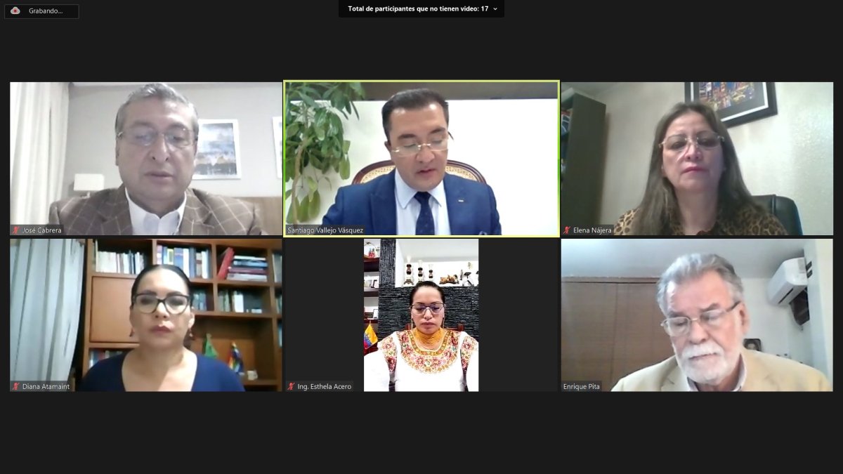Los consejeros en pleno sesionaron de manera virtual.