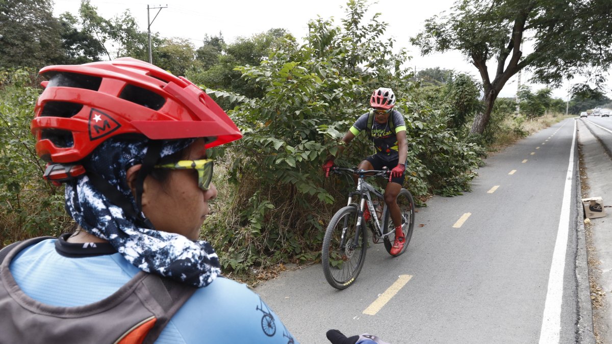 Problema. Hay tramos donde la maleza obstaculiza a los biciusuarios y otros en los que se apodera de la zona.