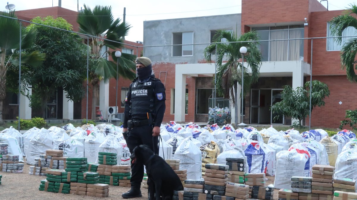 El pasado fin de semana, la Policía Antinarcóticos se incautó 7.3 toneladas de cocaína, en el puerto marítimo de Guayaquil, al sur de la ciudad.
