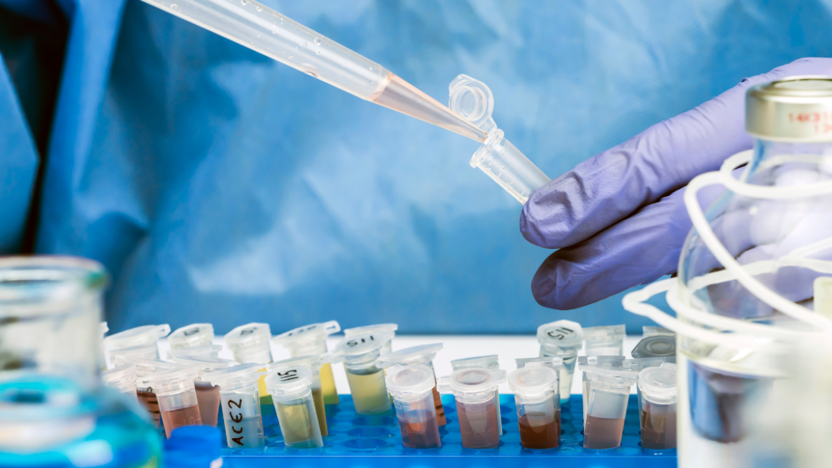 El sumo pontífice calificó a la ciencia como un recurso para construir paz.