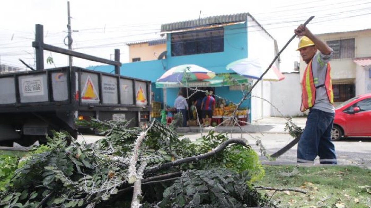 En una intervención pasada, el Cabildo atendió el problema.