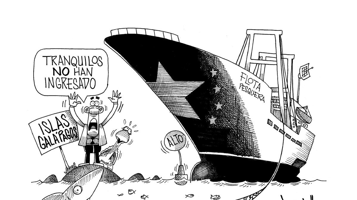 Con el arrastre de las especies marinas.