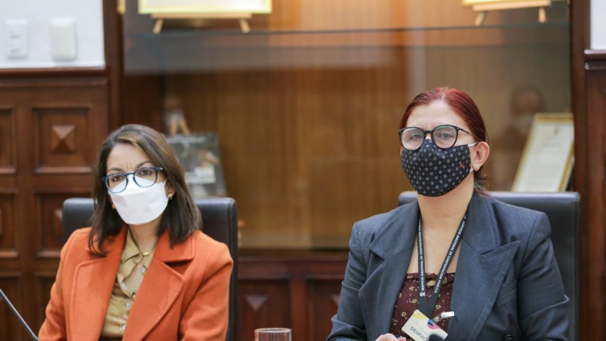 Ministra de Salud Ximena Garzón y Directora del SERCOP anunciaron que el programa tendrá asesoría internacional.