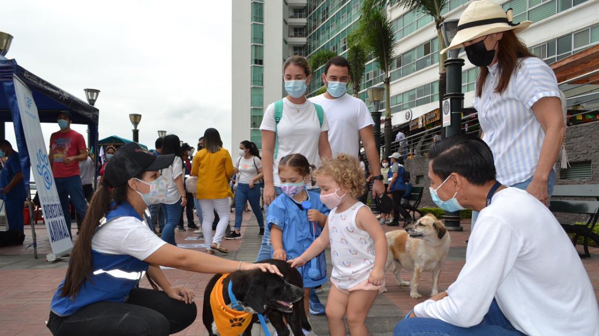 Actividad. La jornada se llevó a cabo este sábado 3 de julio.