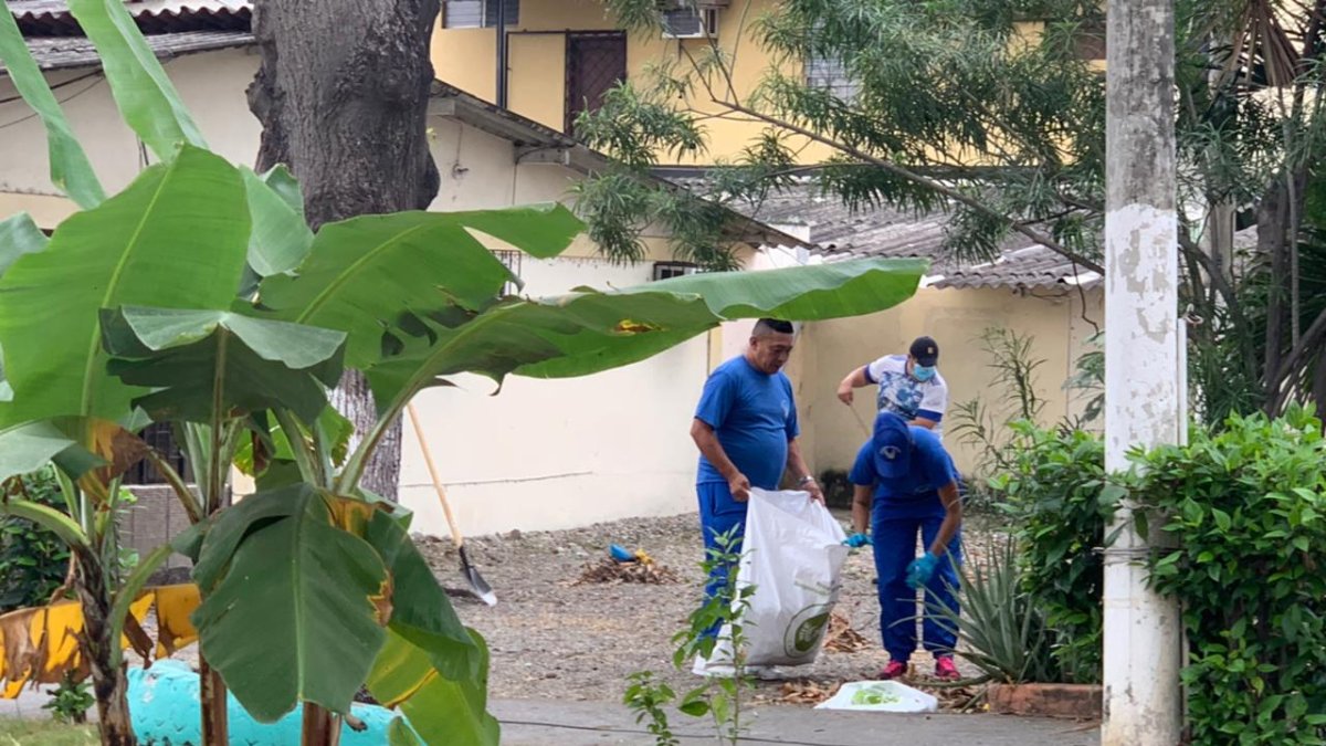 Los moradores de la zona se concentraron en el parque para recoger la basura, cortar la maleza, podar los árboles y sembrar nuevas plantas.