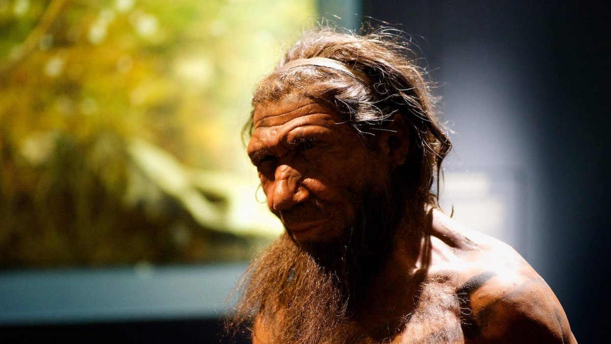 Referencial. La investigación, liderada por Dirk Leder del Servicio Estatal de Patrimonio Cultural de Baja Sajonia (Alemania), se suma a la creciente evidencia de que esta especie tenía un sofisticado comportamiento simbólico.