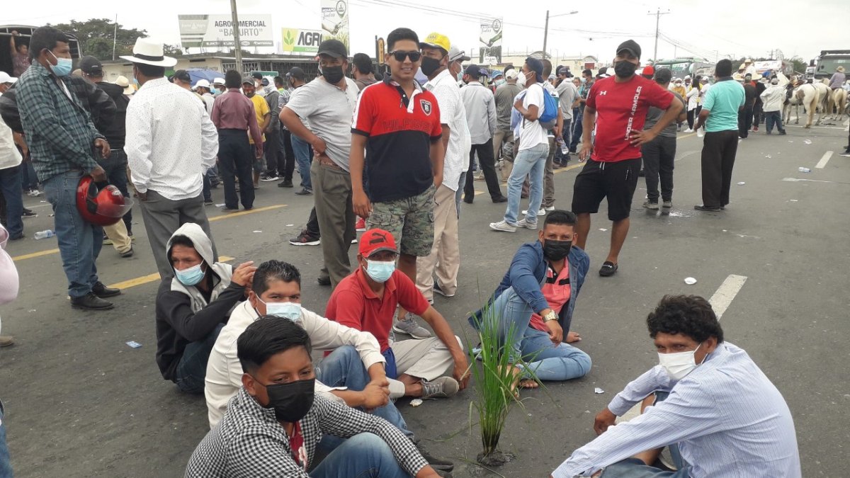 Agricultores llevan una mata de arroz de transplante como señal de protesta por la caída de los precios del grano.
