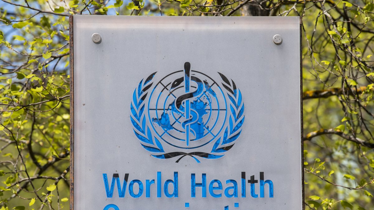 Los tests evidencian que el tratamiento con interleucina-6, una glucoproteína segregada por determinadas células, reduce el riesgo de muerte en torno a un 4 % (un 17 % en pacientes con ventilación).