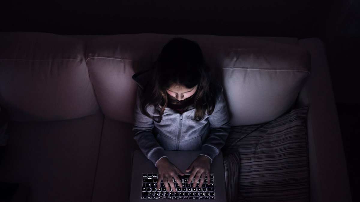 Los padres o cuidadores son los principales responsables de que los menores no lleguen a consumir este tipo de contenido.