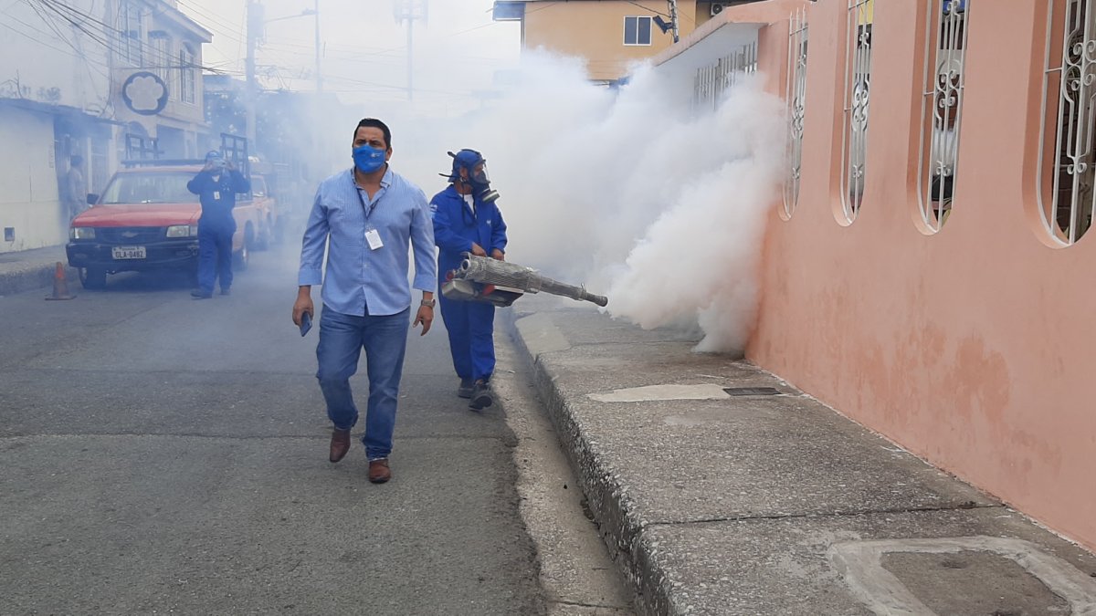 Fumigación de viviendas en varios sectores de Guayaquil.
