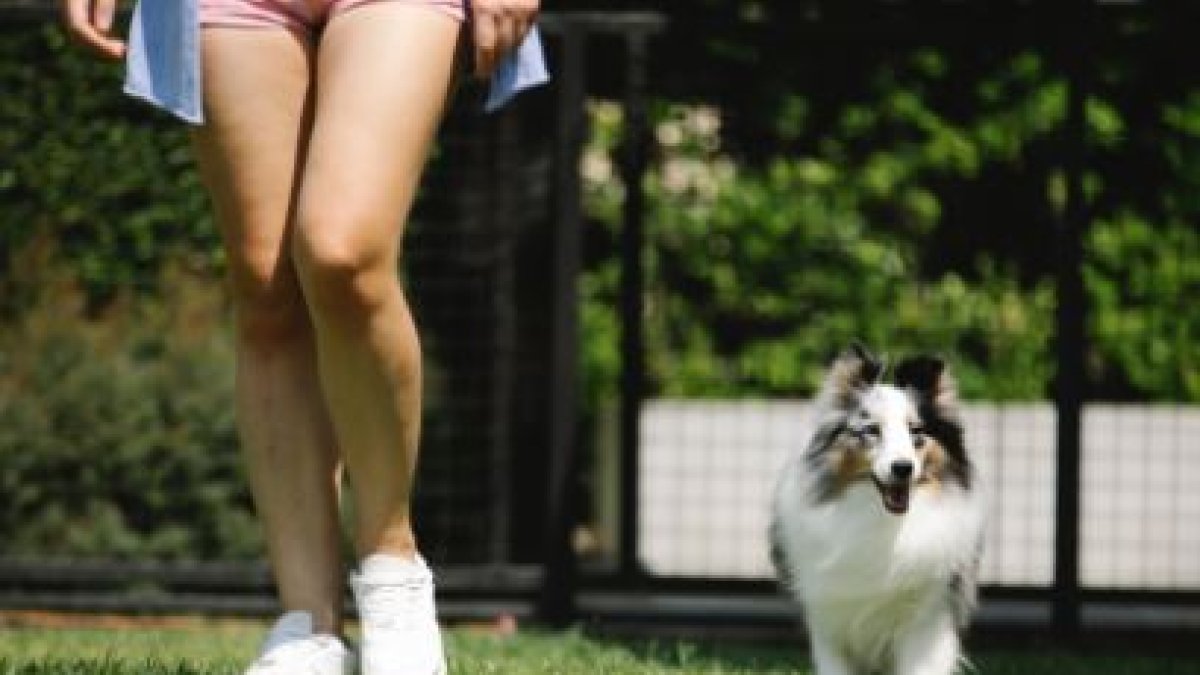 Contar con áreas verdes cercanas es importante para los dueños de mascotas.