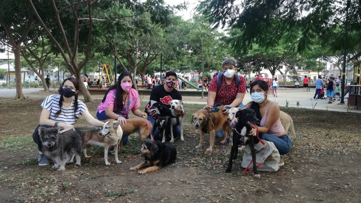 Un grupo de voluntarios se encarga de pasear los domingos a los perros rescatados.