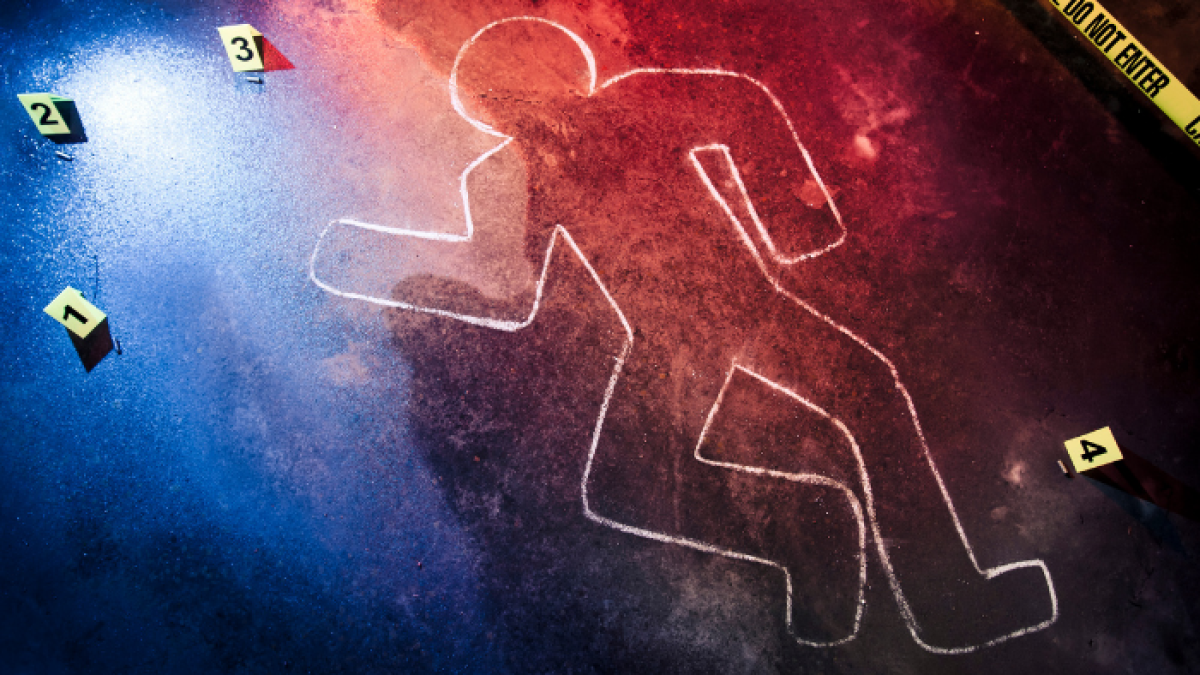 Los jefes de las carteras de Defensa destacaron la posibilidad de implementar operaciones coordinadas 