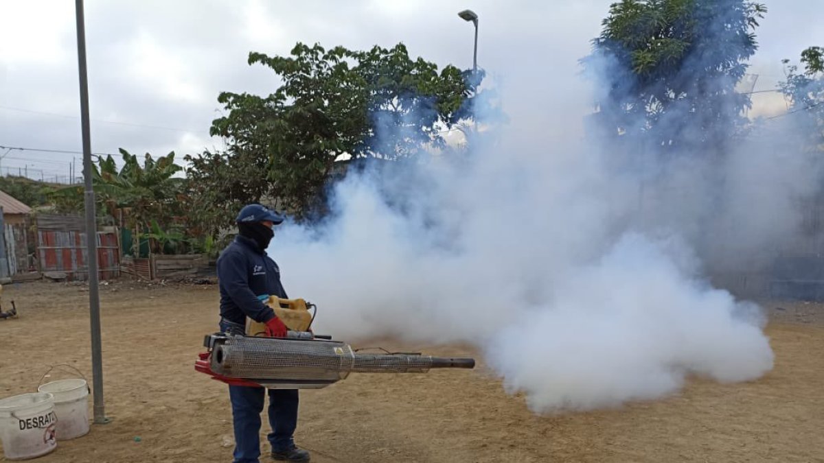 El Municipio ha empezado a fumigar en varios puntos de la ciudad.