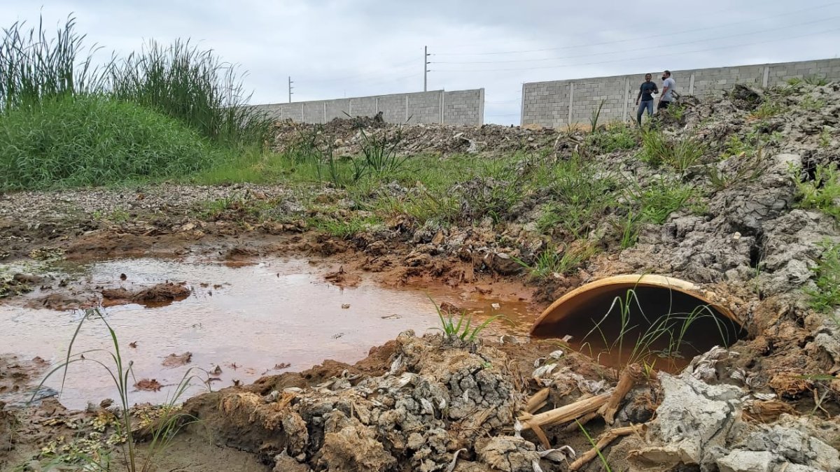 Escenario. Una de las gráficas que pudieron tomar los moradores.