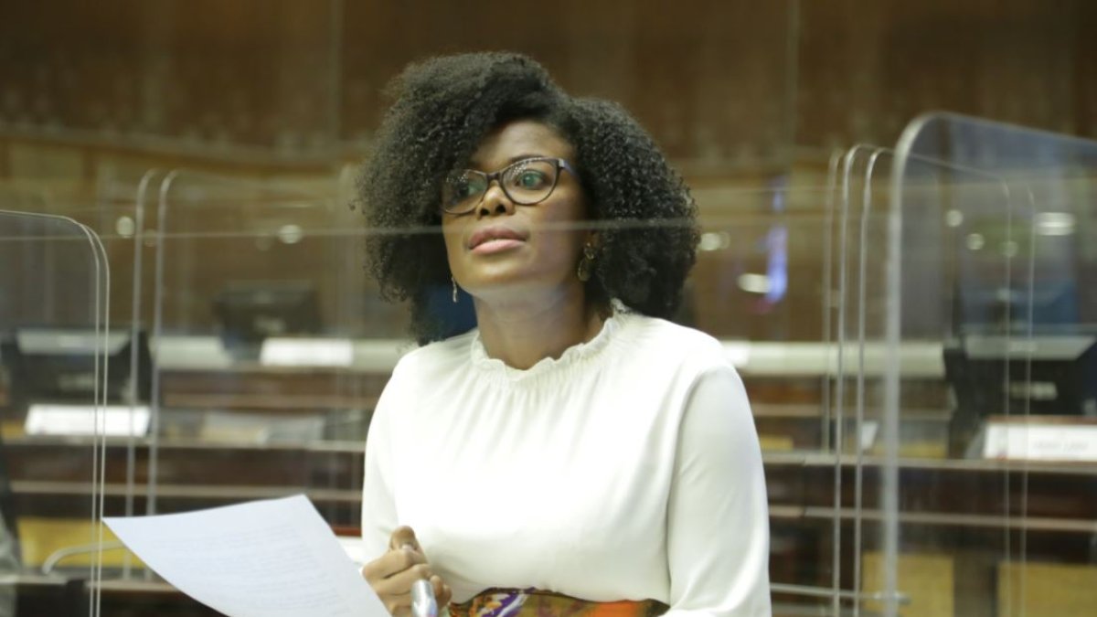 La asambleísta Paola Cabezas argumentó que en la actual propuesta de Código Niñez no observa en su totalidad la institucionalidad, por ejemplo la existencia de los Consejos Nacionales de Igualdad.