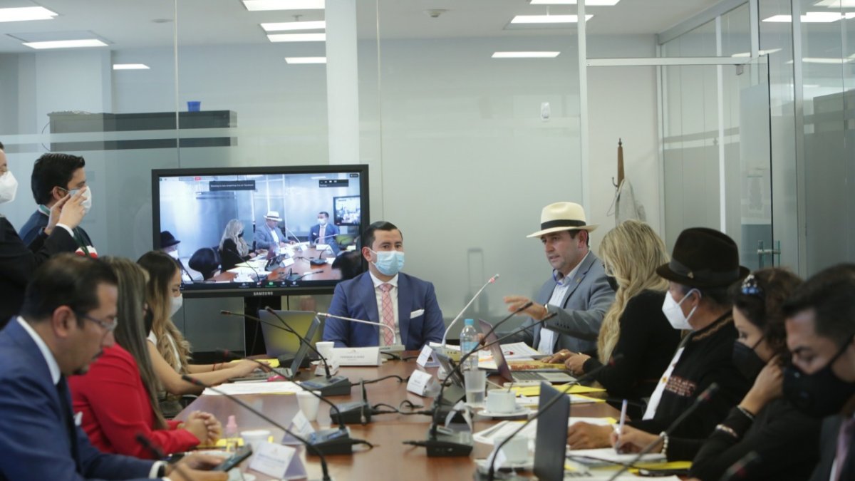 Comparecencia. Los integrantes del CPCCS han acudido a la Asamblea en varias ocasiones los últimos días.