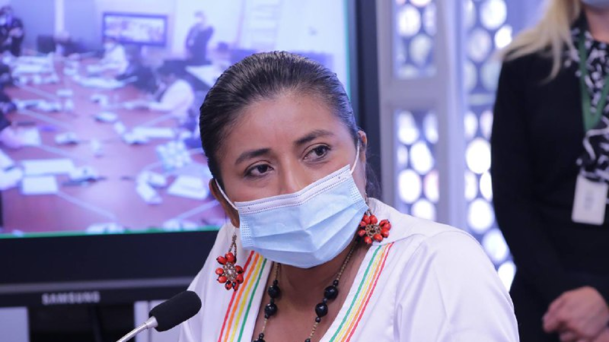 En las últimas horas, se viralizó un vídeo en el que aparece la parlamentaria Rosa Cerda y señala: 