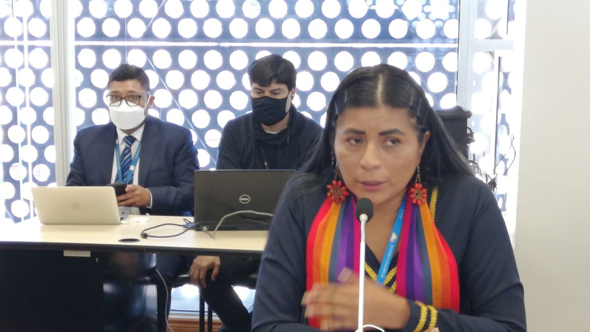 La legisladora es representante de la provincia Napo.