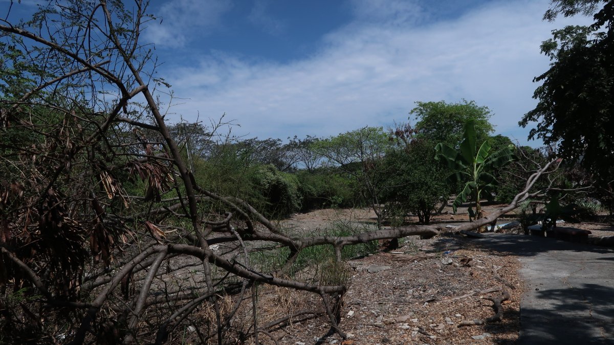 El parque lineal de la ciudadela Huancavilca Norte recibirá mantenimiento por parte del Municipio.