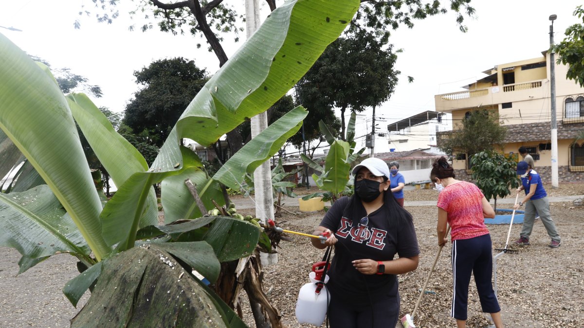 Acción. En la imagen aparecen algunos de los primeros moradores que han adoptado árboles y los lavan con agua y jabón.