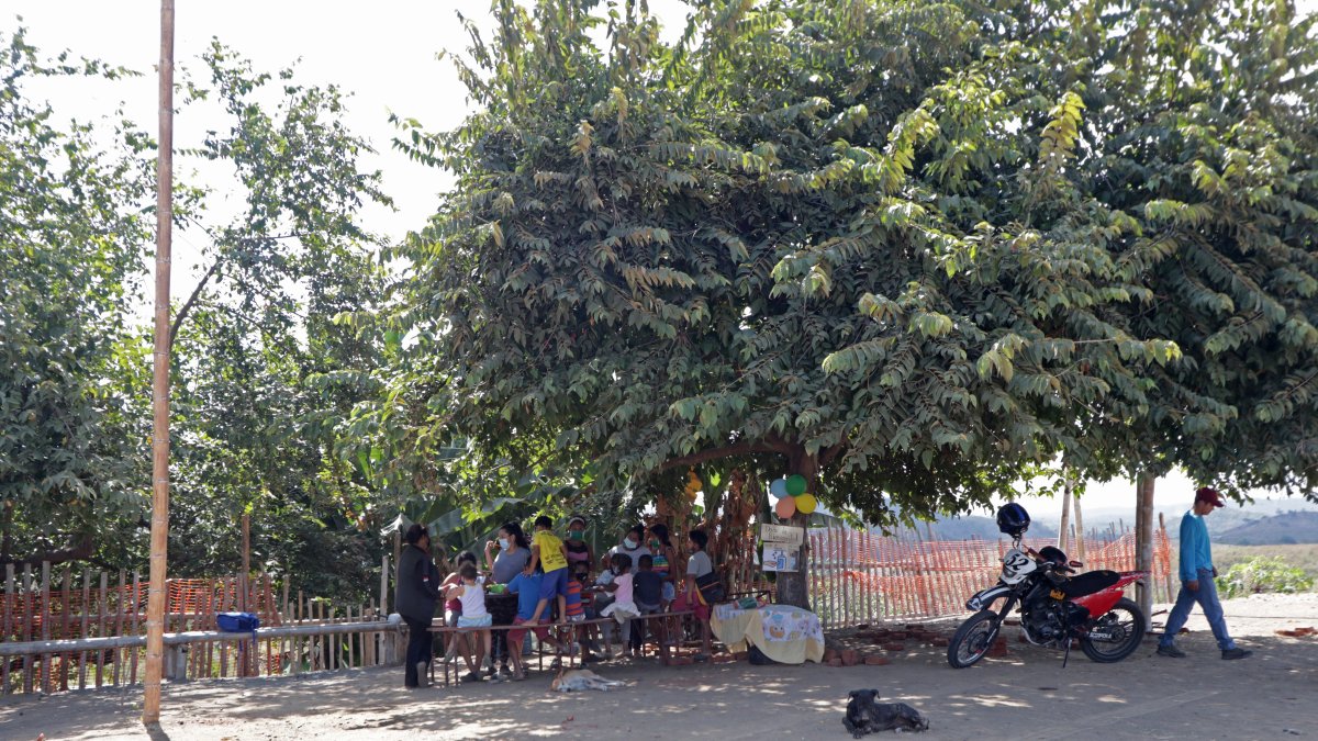Los niños continúan recibiendo las clases bajo la sombra de un árbol.