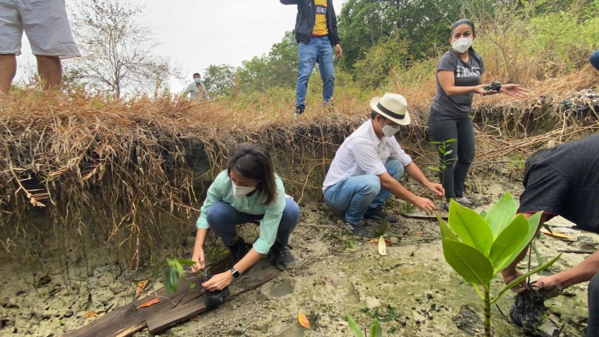 Personal del Ministerio del Ambiente participaron en la tarea de reforestación.