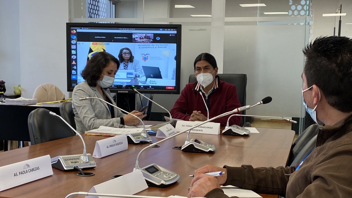 Comisión. Los legisladores analizaron este lunes 26 de julio del 2021 el caso Furukawa