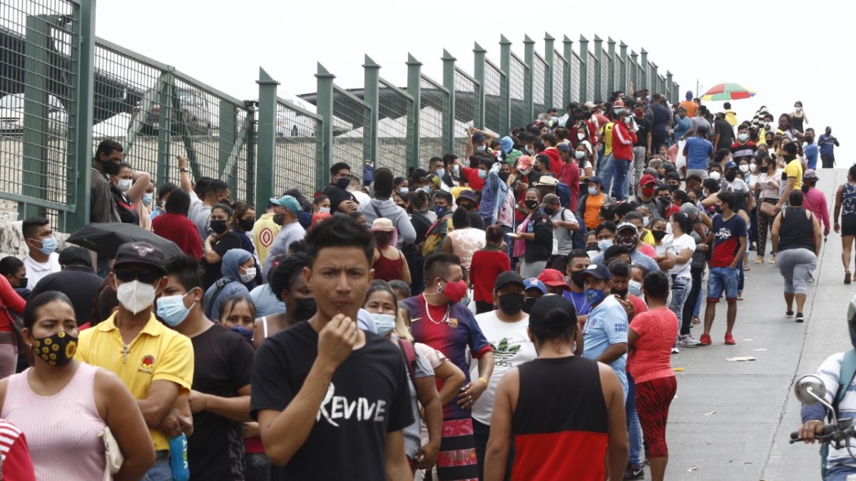 Vacunación. En los exteriores de la Casa de la Música de Guayaquil se dio una masiva participación de ciudadanos que deseaban vacunarse.