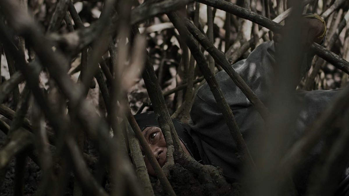 Esta es la imagen ganadora. La que ahora está expuesta en Roma, Italia.