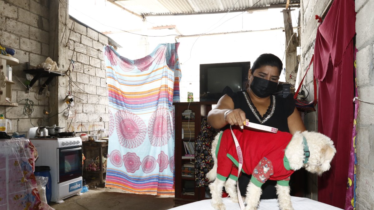Labor. La casa de Mariana Gushque no tiene la pared trasera.