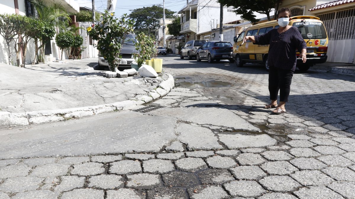 Las vías. Este es el panorama en las calles de las cuatro manzanas. En algunas aceras, los huecos son similares.