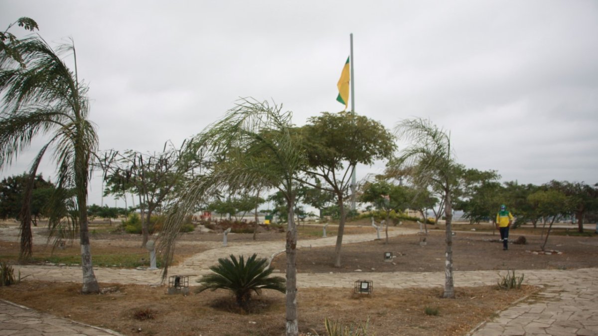 No hay ya césped y las palmeras se han caído. Asimismo el piso está roto, en algunos tramos ya hay huecos.