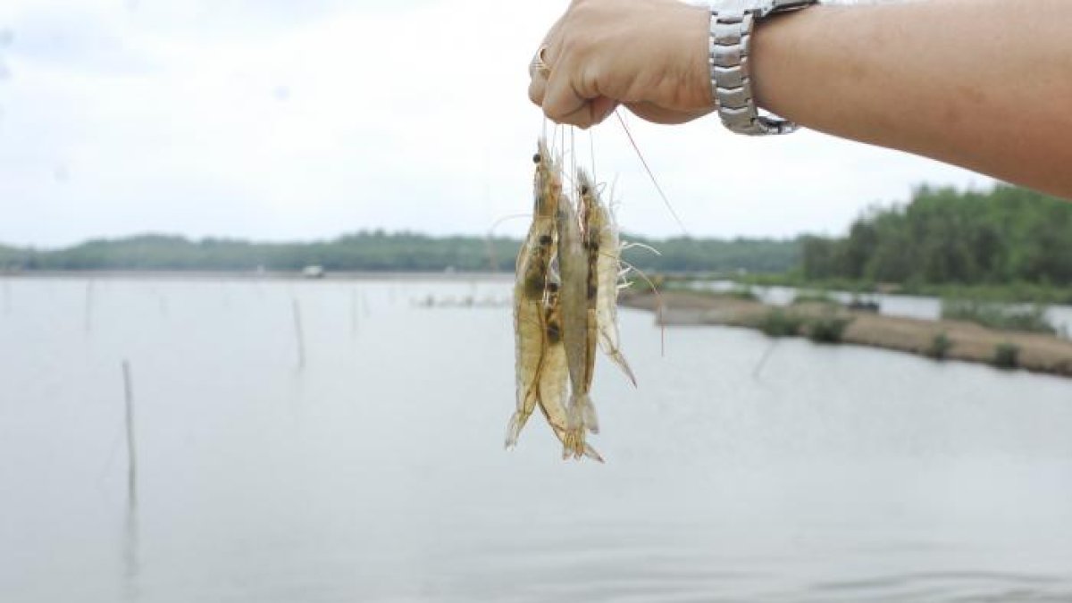 Ecuador es un proveedor importante de China