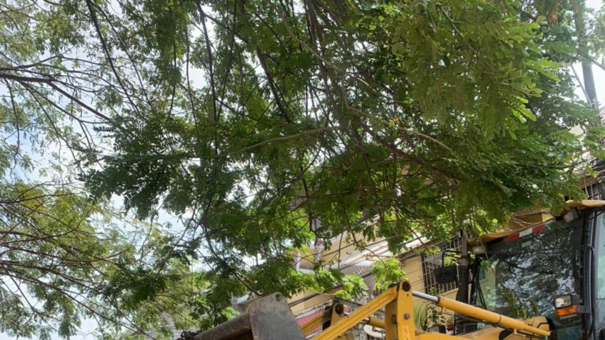 Acción. La colocación de los muros se dio este miércoles 4 de agosto.