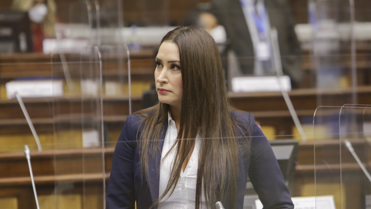 La legisladora socialcristiana presentó la moción que no obtuvo los votos necesarios.