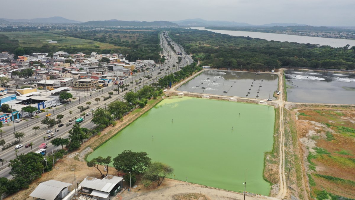 Espacio. Los residentes de ciudadelas  como Guayacanes y Sauces, al norte de Guayaquil, denuncian los malos olores que emanan las lagunas.