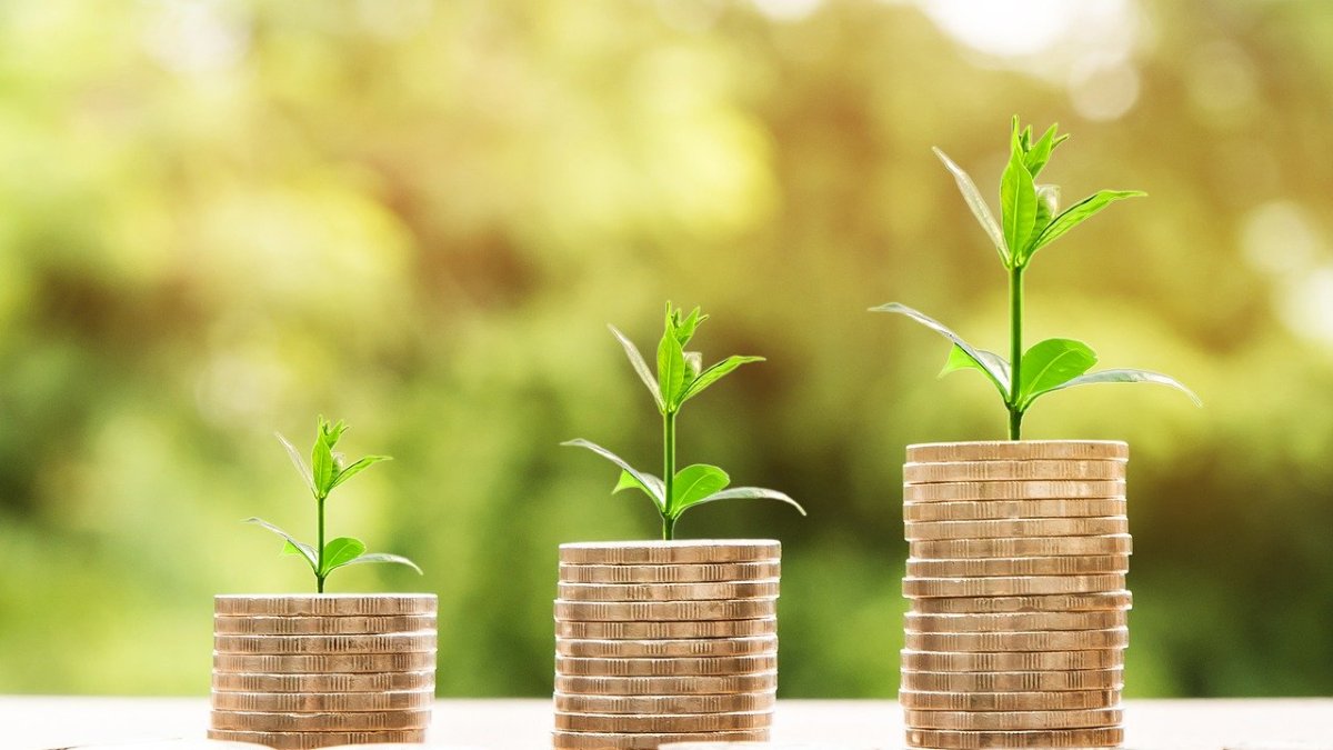 En 13 años, las operaciones del microcrédito minorista cayeron de 1,2 millones a 648.000 (el año pasado).