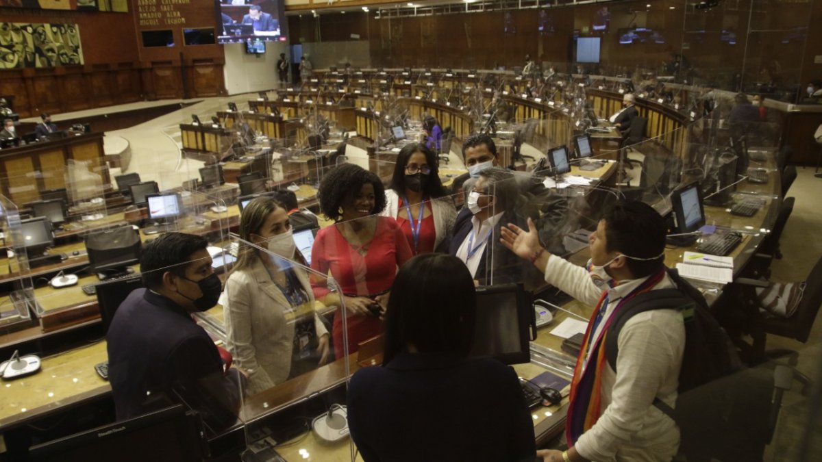 Aliados. El correísmo y Pachakutik ya no disimulan: nunca estuvieron tan próximos