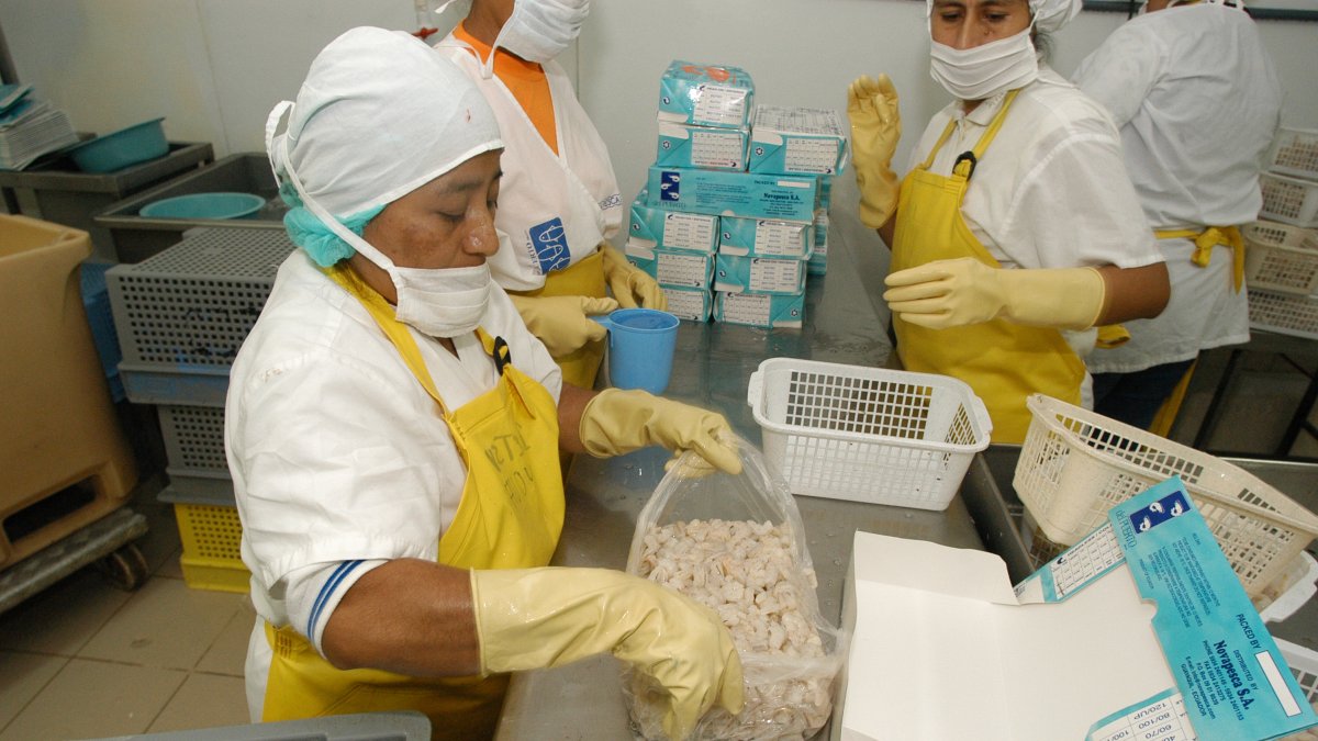 Exportar hacia mercados como Estados Unidos, requiere de mayor mano de obra. El producto que se envía es de valor agregado.