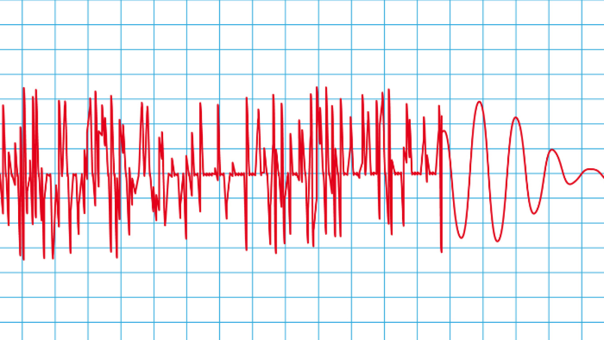 La Escuela Politécnica Nacional dio parte de al menos cuatro temblores minutos antes y después de las 14:00.