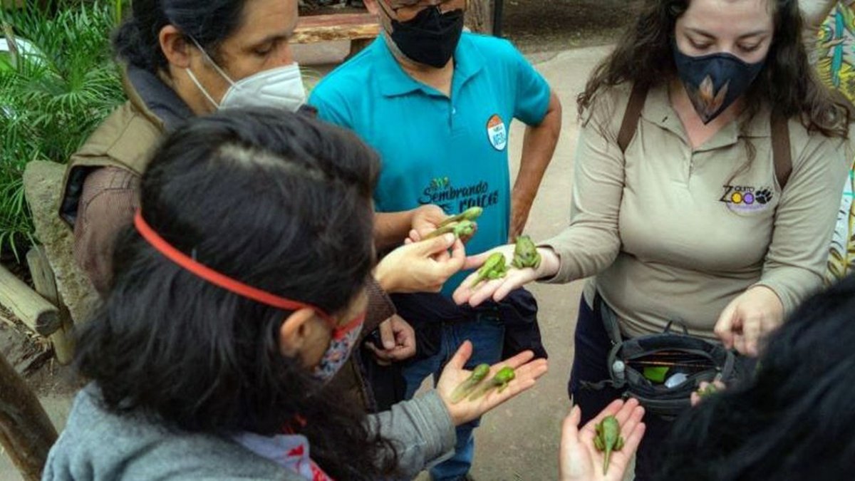 Anfibios. La rana marsupial es el atractivo principal de la exposición.
