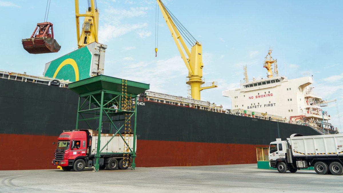 Storeocean nace como empresa en el año 2009. En 2020 Agripac se vuelve el mayor accionista.