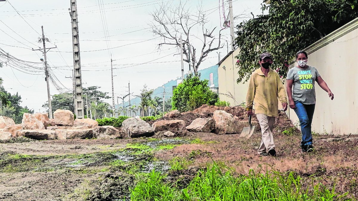 Terreno. Este es el terreno adjunto a la urbanización que recibe las aguas negras de la planta de tratamiento de aguas residuales de Colinas del Bosque.