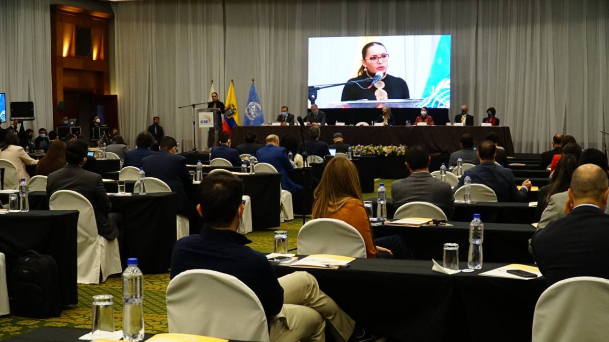 Tres organizaciones políticas deben ya ser denominadas como partidos y no como movimientos..