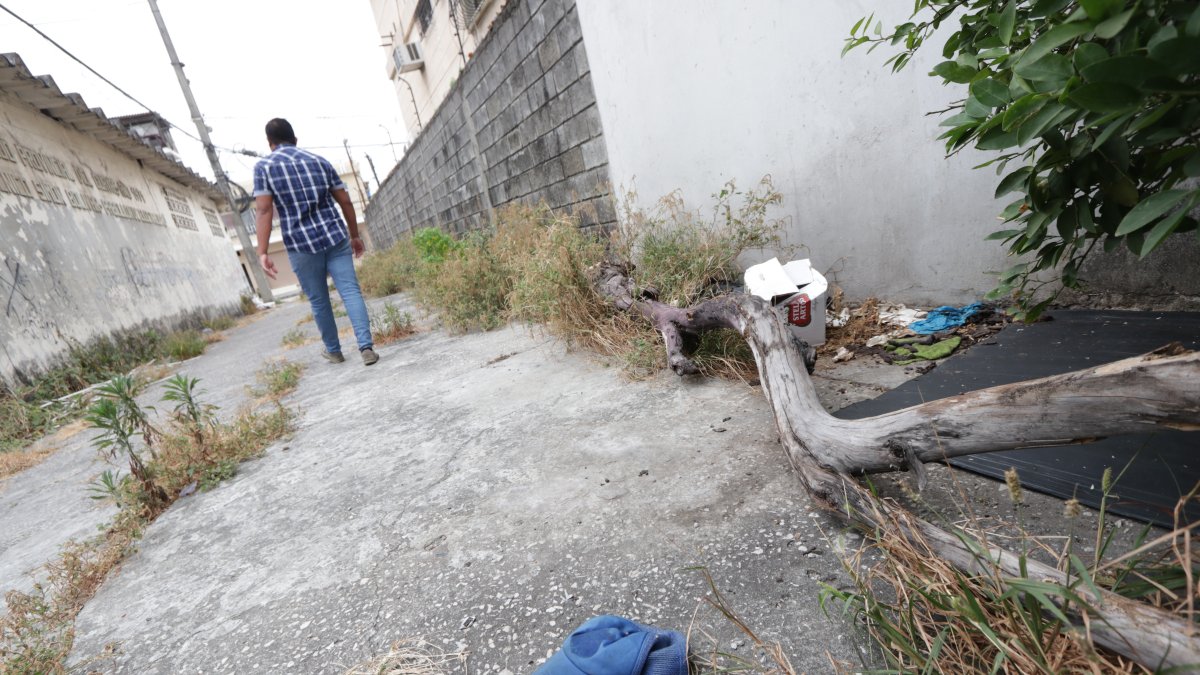 En los callejones de la ciudadela Albatros hay desde cartones hasta prendas de vestir interior, que afean la ciudadela y tienen en zozobra a sus residentes.