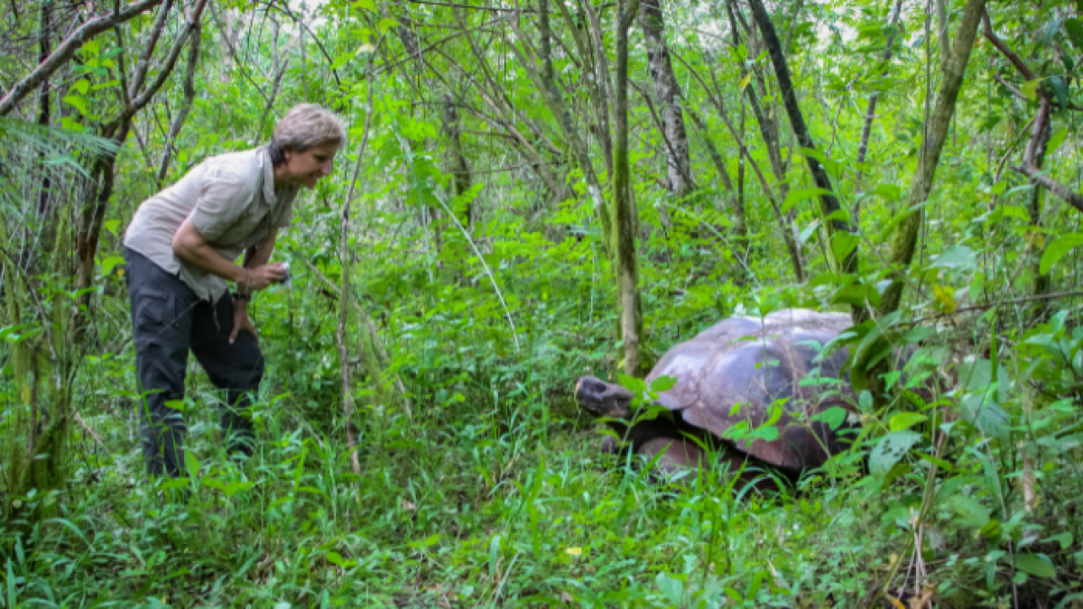 La actual Reserva Marina de Galápagos es el centro de una iniciativa que enfrenta al sector pesquero ecuatoriano.
