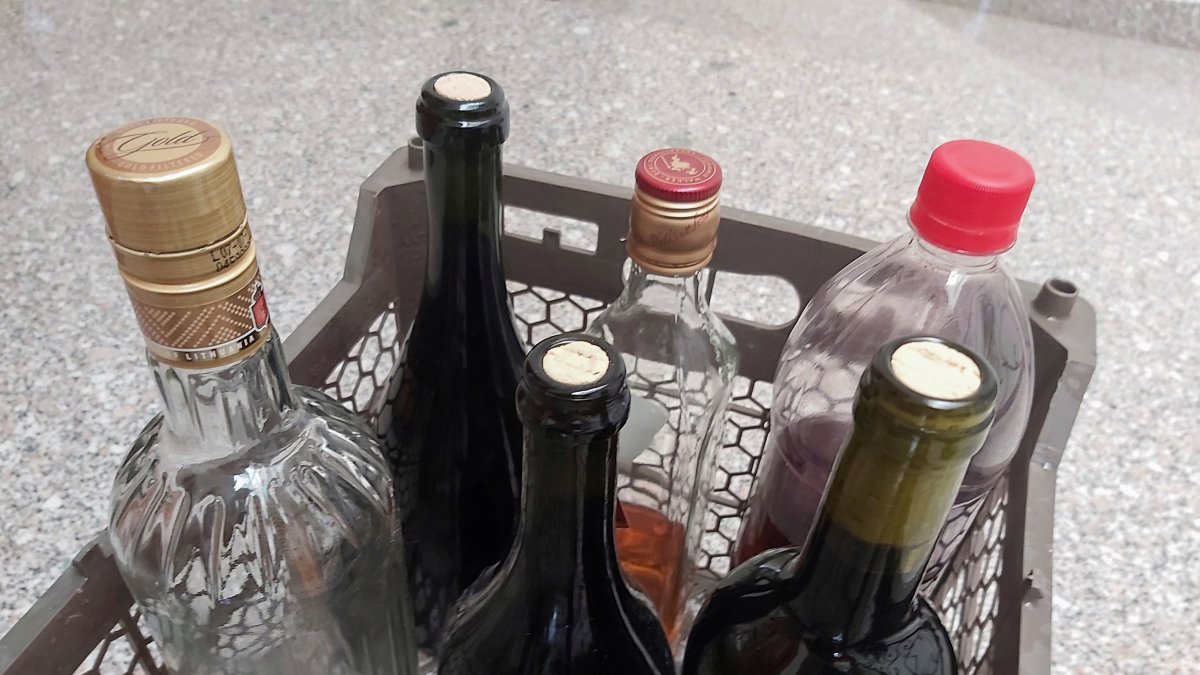 La toma de decisiones, como la de beber otra copa o abstenerse, es compleja; el cerebro tiene un importante sistema de comportamiento motivado.